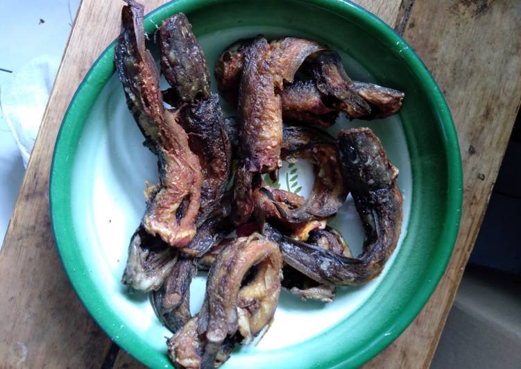 Cara Buat Lele goreng🦈 irit anti gagal