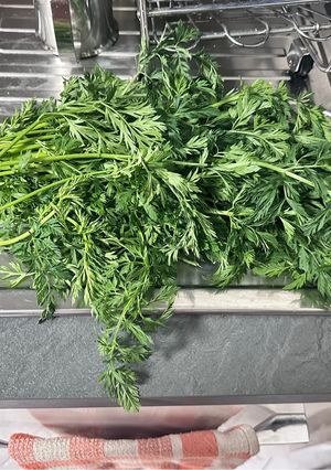 Foto di Pesto con il ciuffo di carote