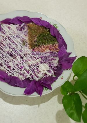 عکسی از دستور سالاد مور لاهانا (کلم بنفش) (mor lahana salatası)
