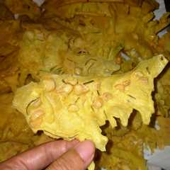 รูปของ Peyek kacang