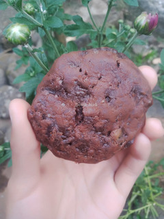 Foto resep Double Chocolate Chip Cookies