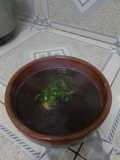 Frijoles Negros al ajillo
