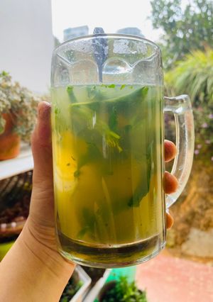 Hình của món Nước cam cara và lá bạc hà tươi.