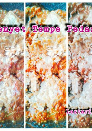 Foto resep Tempe Penyet Pedaz