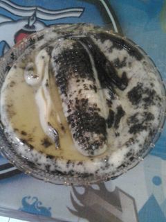 Foto resep Puding susu "oreo"
