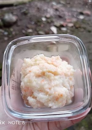 Foto resep H28. Bubur Lele, Wortel, Edamame dan Santan (6 month+)