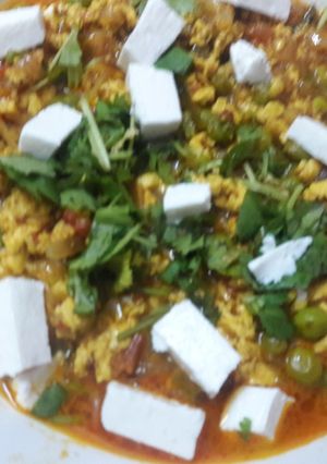 A picture of Matar Paneer Korma.