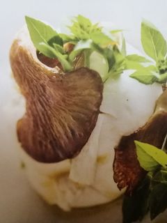 Une photo de Mozzarella aux Pleurotes