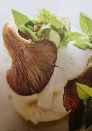 Une photo de Mozzarella aux Pleurotes