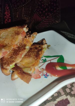 A picture of Kabri Patti Sandwich.