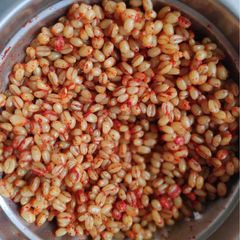 A picture of Ghughri😋.