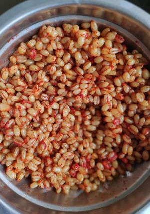 A picture of Ghughri😋.