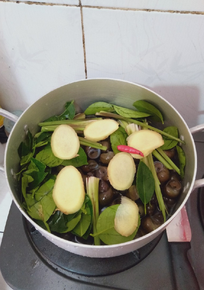 Hình của món Ốc gạo luộc nước 🥥🥥🥥.