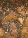 Bitterleaf soup