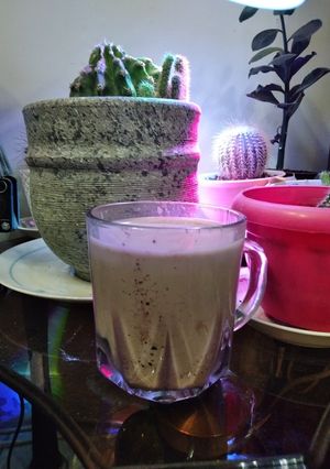 عکسی از دستور شیر کاکائو داغ خانگی