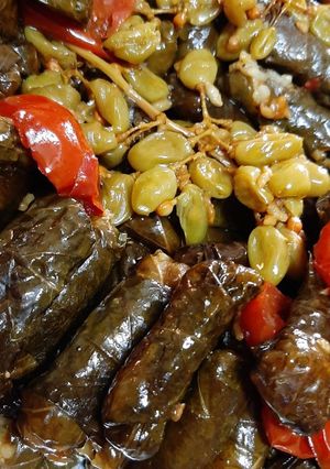 صورة لوصفة ورق عنب بالحصرم (( دوالي))