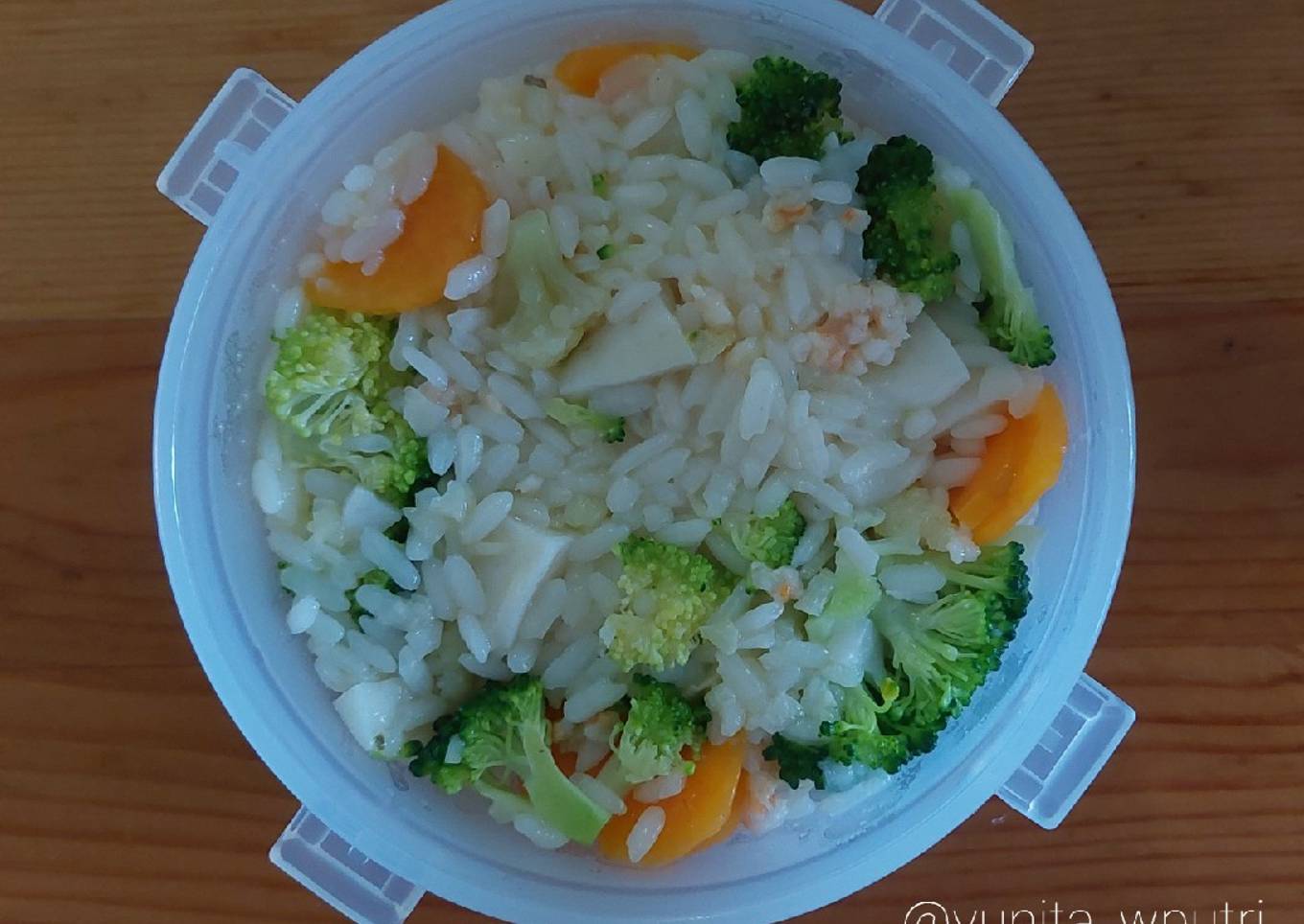 MPASI Nasi Tim Capcay Seafood (1+) (13+bulan)