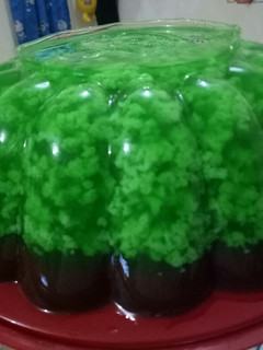 Foto resep Puding lumut lapis coklat