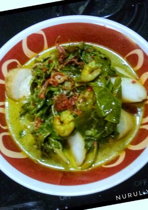 Foto resep Gulai pakis dg lontong