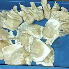 รูปของ 59.Pangsit Isi Ayam