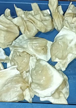 Foto resep 59.Pangsit Isi Ayam