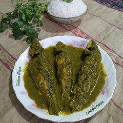 A picture of Green Fish.