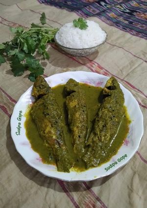 A picture of Green Fish.