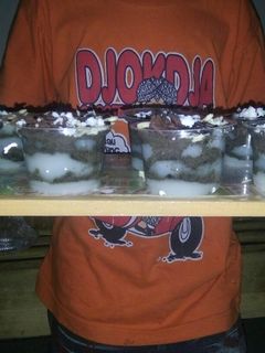 Foto resep Oreo cheseecake