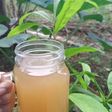 Jahe Madu (Resep Mual Dan Muntah)