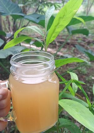 Foto resep Jahe Madu (Resep Mual Dan Muntah)