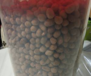 Cara Memasak Cepat Kacang telor renyah Yummy Mantul