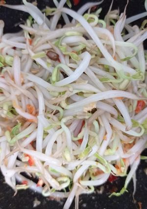 Foto resep Kecambah rebus menu diet