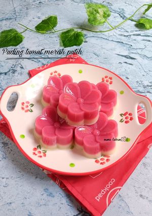 Foto resep Puding lumut merah putih
