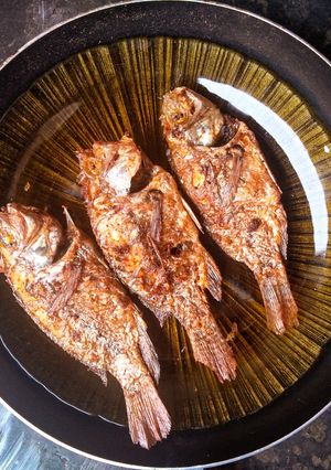 Foto resep Mujair goreng