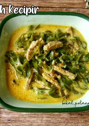 Foto resep Lodeh Kecipir Tempe