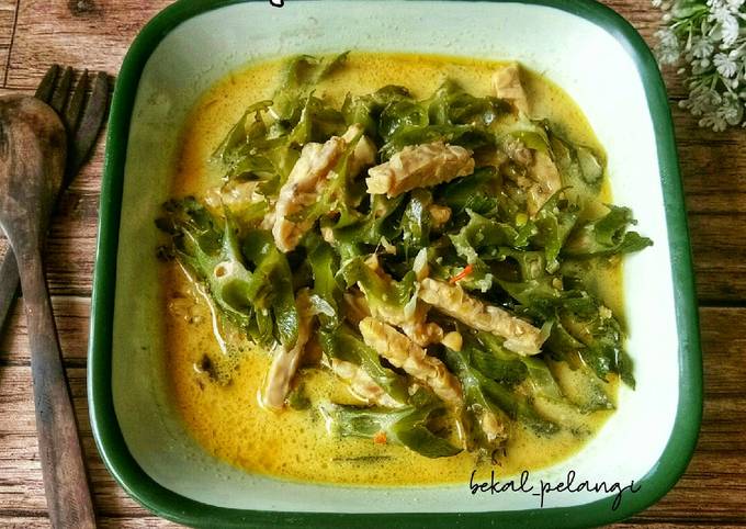 Lodeh Kecipir Tempe