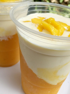 A picture of Mango panna-cotta.