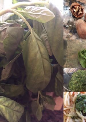 Una foto de Salsa pesto
