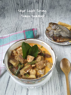 Foto resep Sayur Lodeh Terong, Tempe Semangit