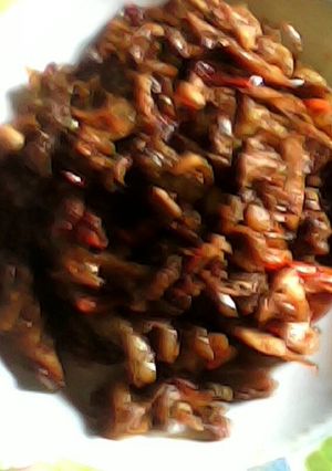 Foto resep Tongseng Ayam kecap pedas