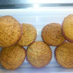 A picture of Muffins.