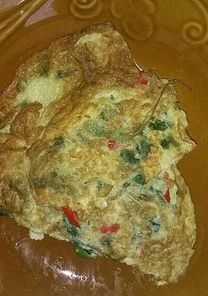 Foto resep Telur dadar kampung