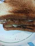 My Hurricane Milton Sandwich 2024