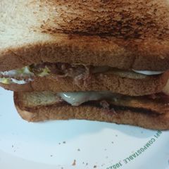 A picture of My Hurricane Milton Sandwich 2024.