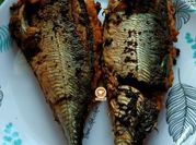 Gambar ikan cencaru sumbat serai