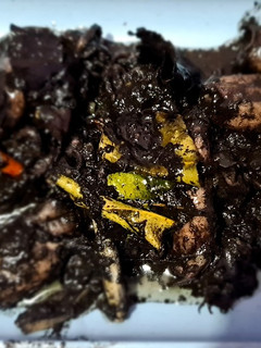 Foto resep Cumi masak tinta hitam