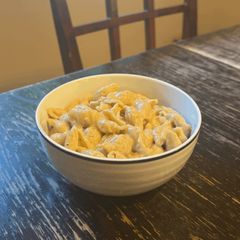 Cricket Protein Powder Mac n Cheese A picture of Cricket Protein Powder Mac n Cheese.