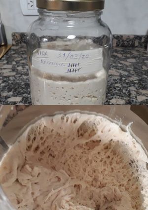 Una foto de Masa madre