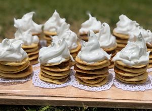 Una foto de Mini rogel