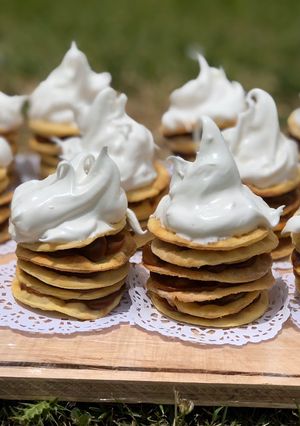 Una foto de Mini rogel